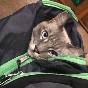 Meet your Posher, Levi